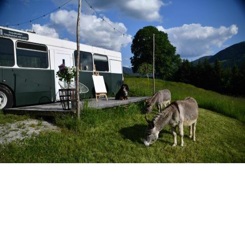 Tiny House Feeling mit Weitblick