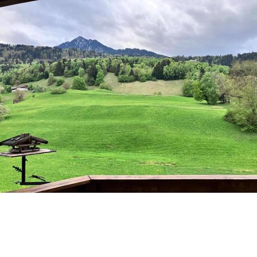 Tiroler Haus mit Bergpanorama