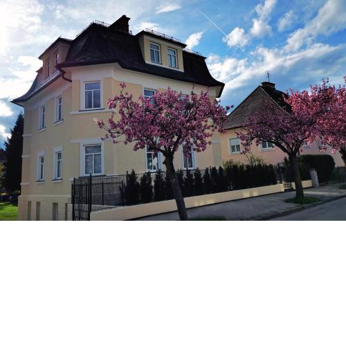 Villa Kreuzbergl - Apartment