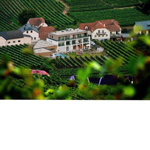 Weingut Donabaum "In der Spitz"