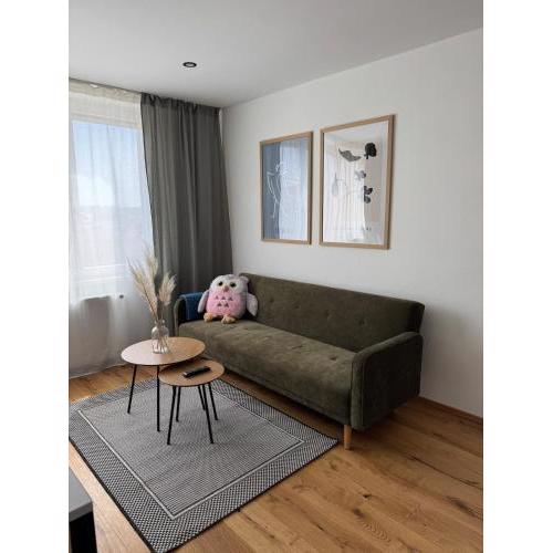 Wohnung in Graz SOVA 3